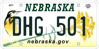 NE license plate DHG501