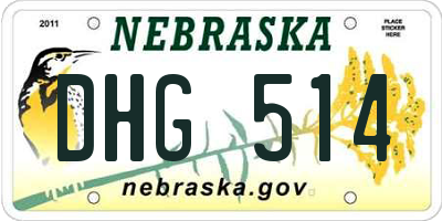 NE license plate DHG514