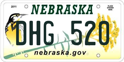 NE license plate DHG520
