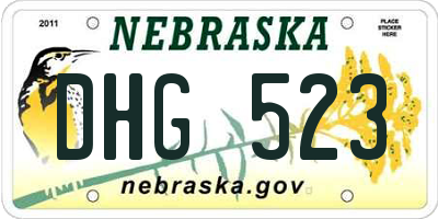 NE license plate DHG523