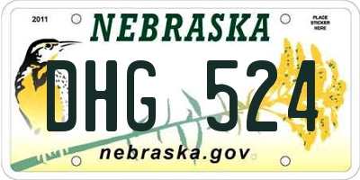 NE license plate DHG524