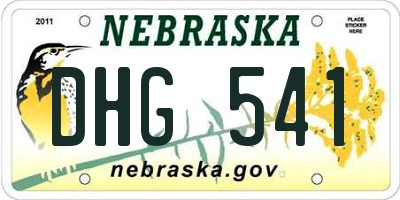 NE license plate DHG541