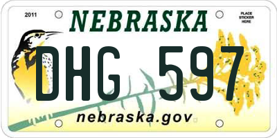 NE license plate DHG597