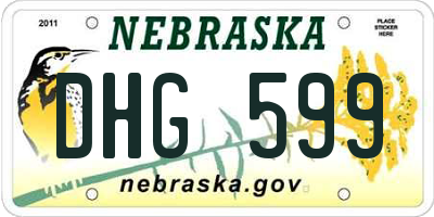 NE license plate DHG599