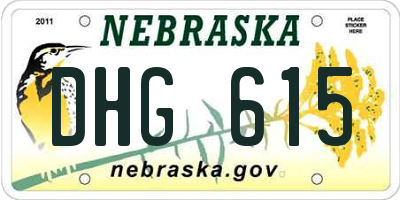 NE license plate DHG615