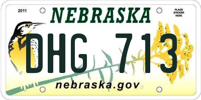 NE license plate DHG713