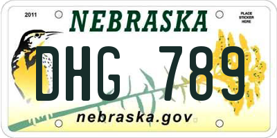 NE license plate DHG789