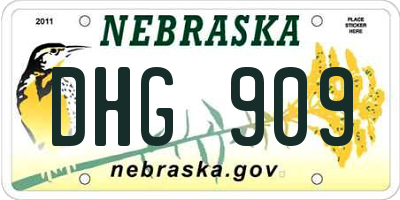 NE license plate DHG909