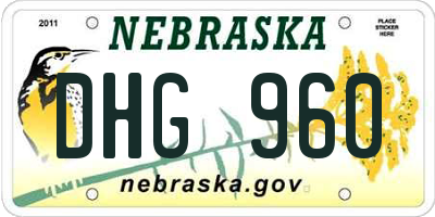 NE license plate DHG960