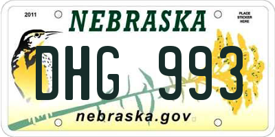NE license plate DHG993