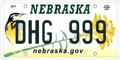 NE license plate DHG999