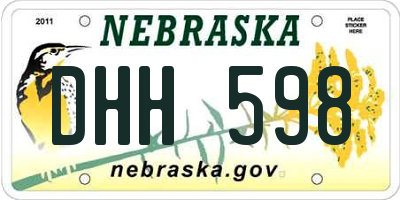 NE license plate DHH598