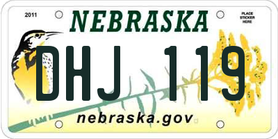 NE license plate DHJ119