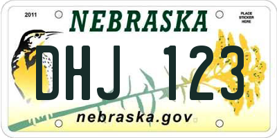 NE license plate DHJ123