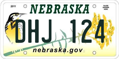 NE license plate DHJ124