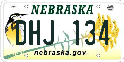 NE license plate DHJ134