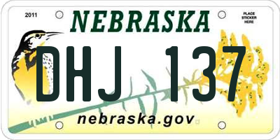 NE license plate DHJ137