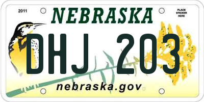 NE license plate DHJ203