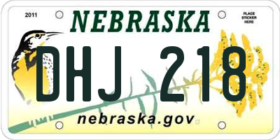 NE license plate DHJ218