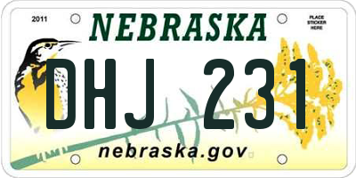 NE license plate DHJ231