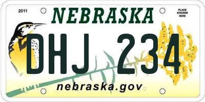 NE license plate DHJ234