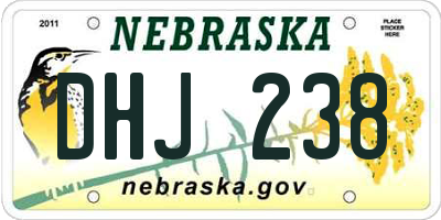 NE license plate DHJ238