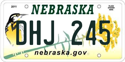NE license plate DHJ245