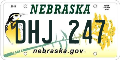 NE license plate DHJ247
