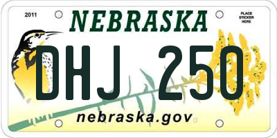 NE license plate DHJ250