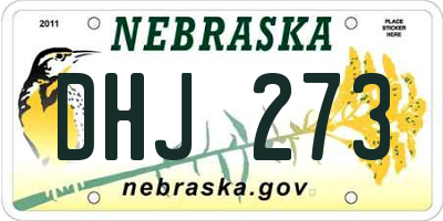 NE license plate DHJ273