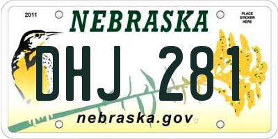 NE license plate DHJ281