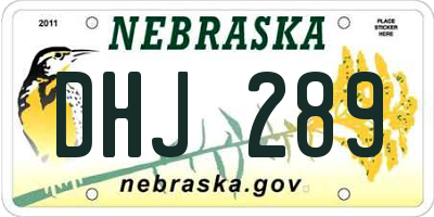 NE license plate DHJ289