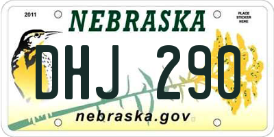 NE license plate DHJ290