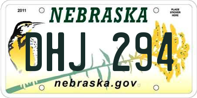 NE license plate DHJ294