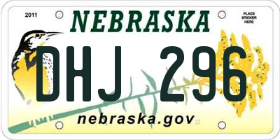 NE license plate DHJ296