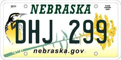 NE license plate DHJ299