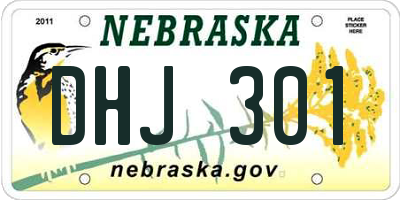NE license plate DHJ301
