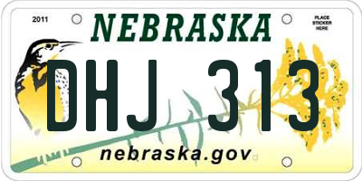 NE license plate DHJ313