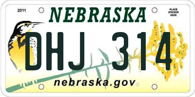 NE license plate DHJ314