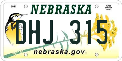 NE license plate DHJ315