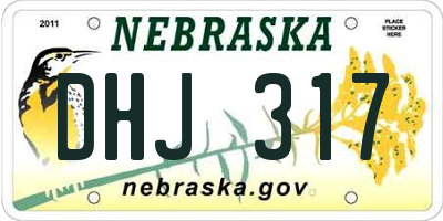 NE license plate DHJ317