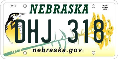 NE license plate DHJ318