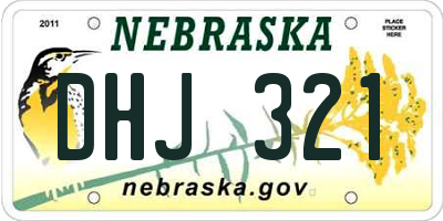 NE license plate DHJ321