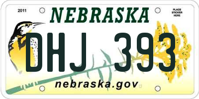 NE license plate DHJ393