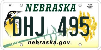 NE license plate DHJ495