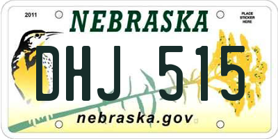 NE license plate DHJ515