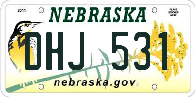 NE license plate DHJ531