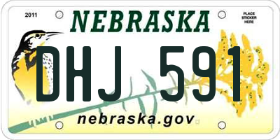 NE license plate DHJ591