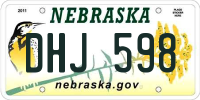 NE license plate DHJ598