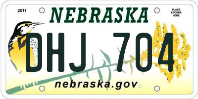 NE license plate DHJ704